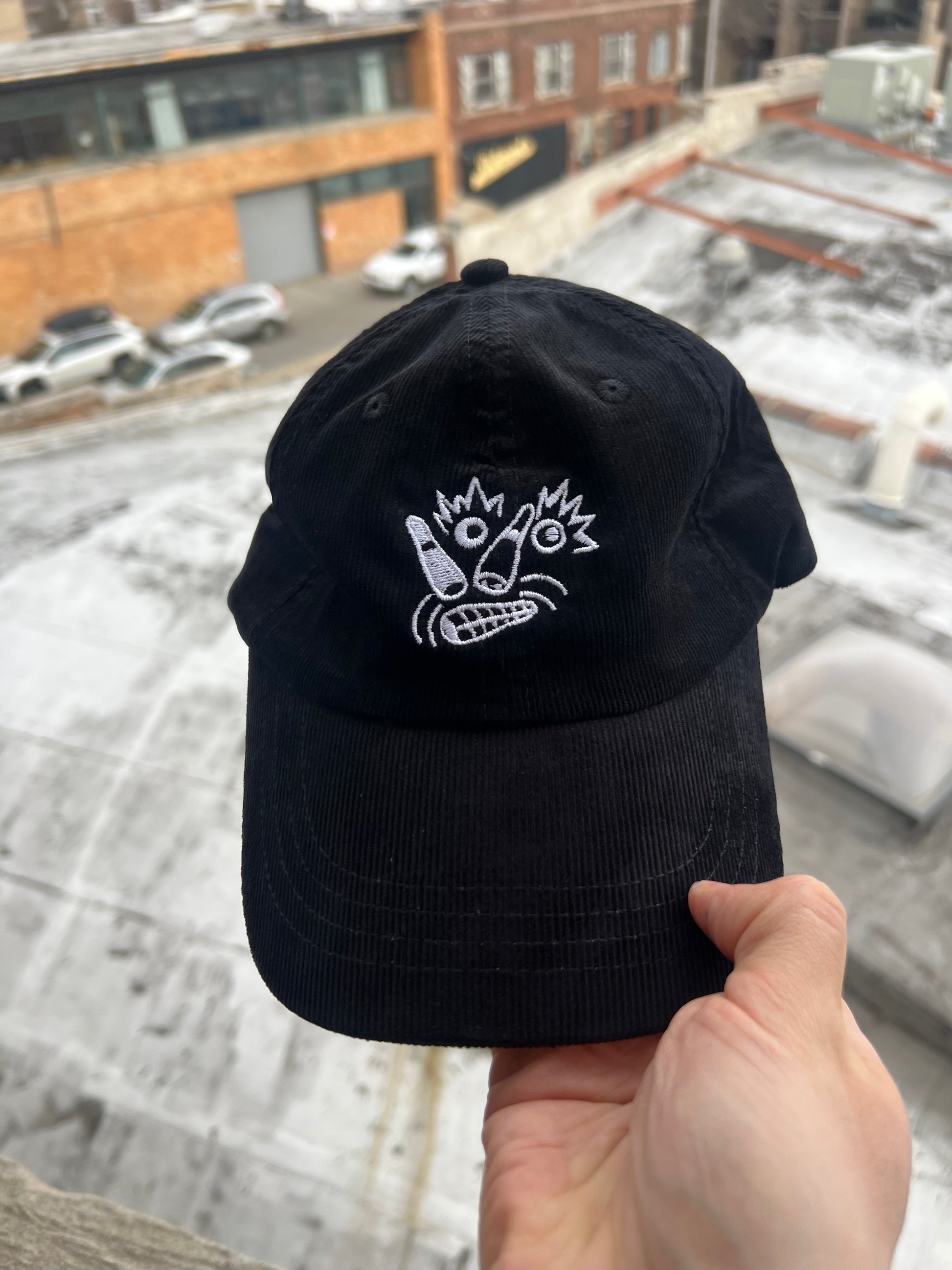 Black cap with white embroidered design held in front of a snowy rooftop scene.