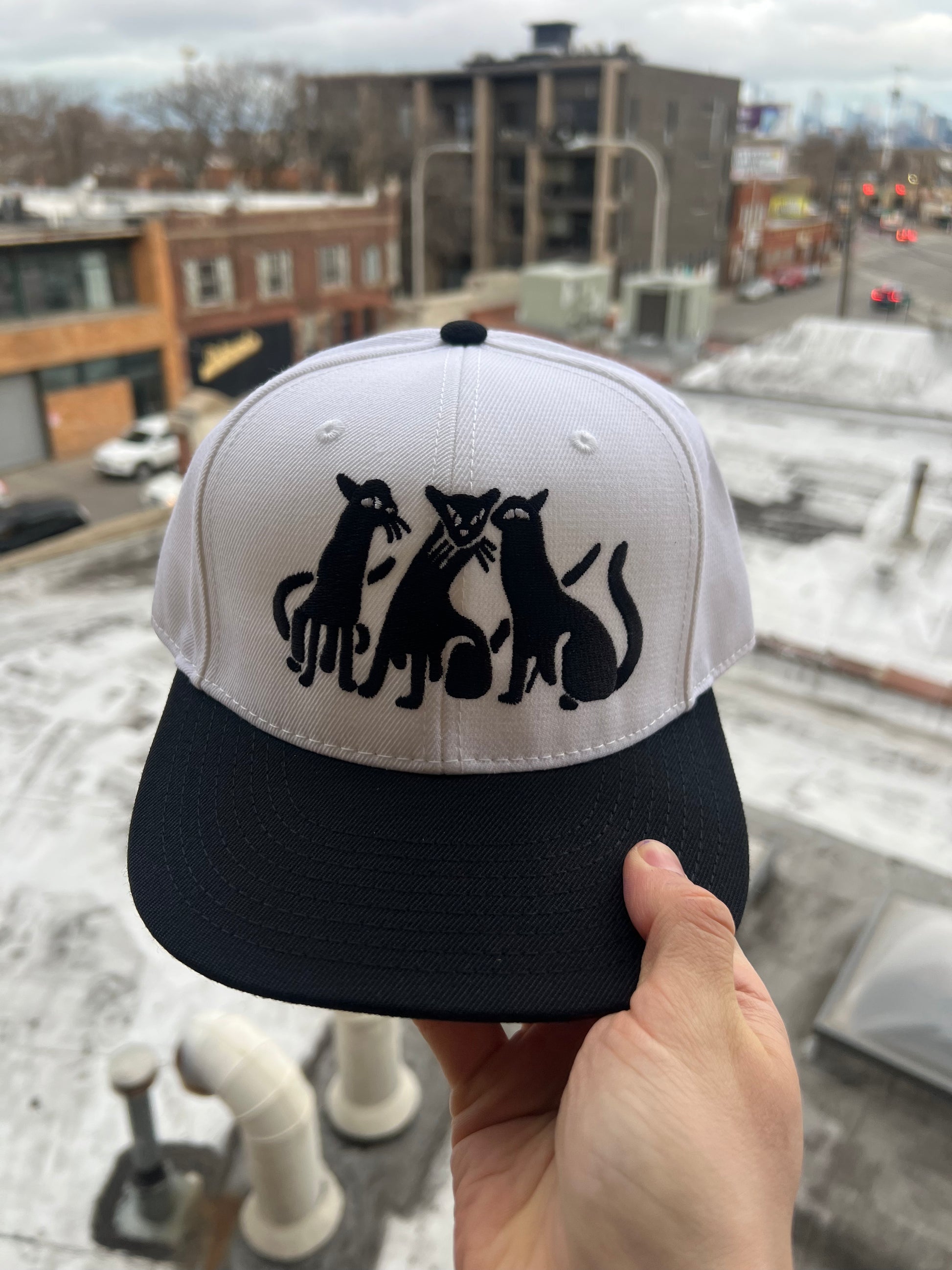 White and black cap with black cat design held in front of a snowy urban background