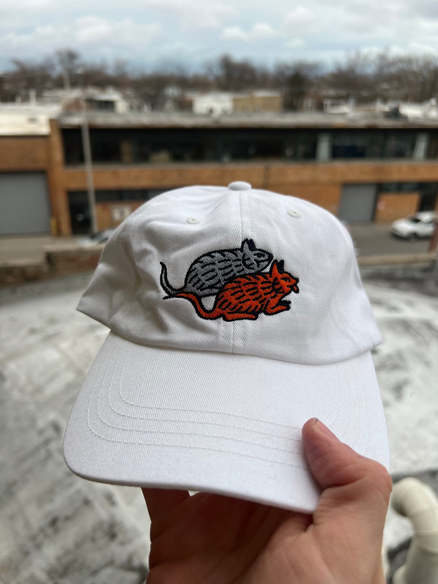 White cap with a logo held in front of a snowy outdoor background