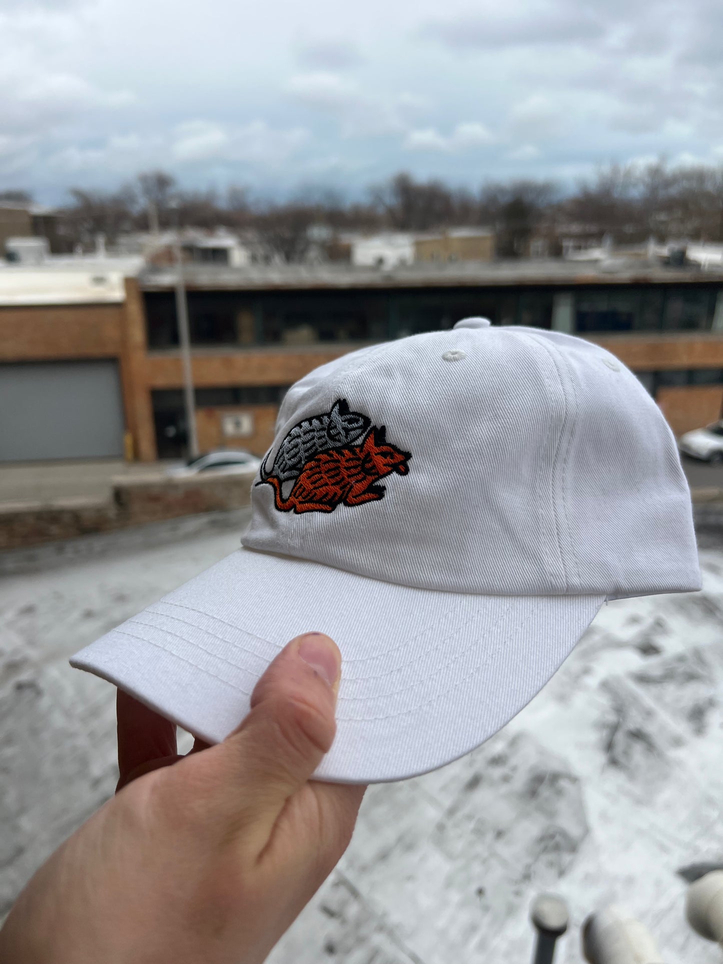 White cap with a logo held in front of a snowy landscape