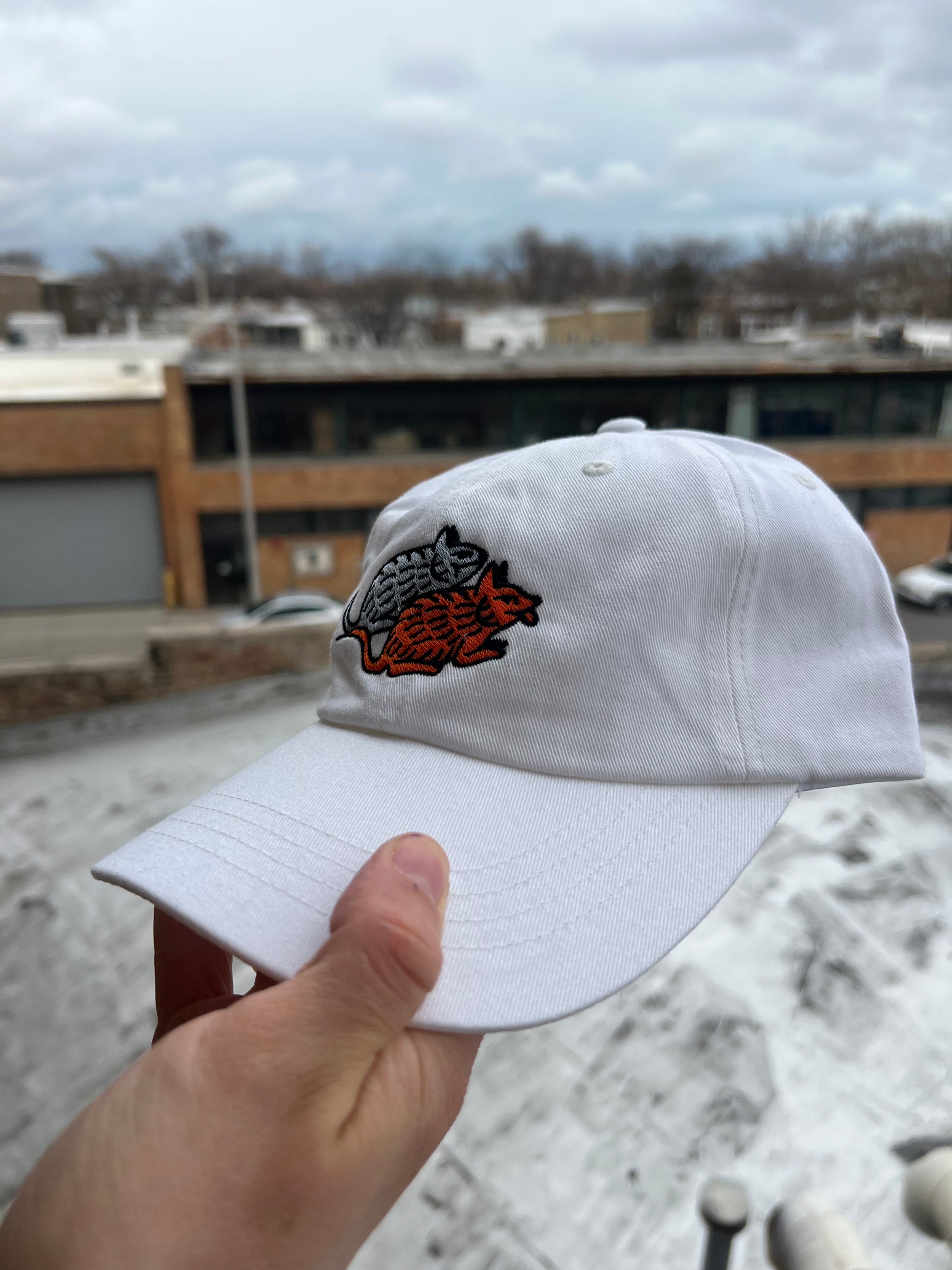 White cap with a logo held in front of a snowy landscape
